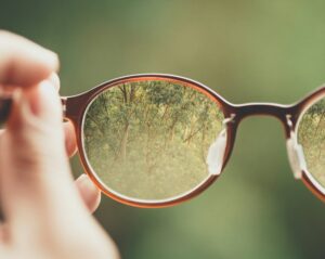 Read more about the article Making Impact Visible: The Key to a Sustainable Culture That Lasts